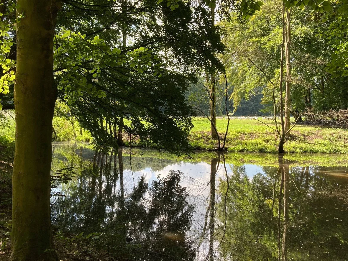 Het Amsterdamse Bos