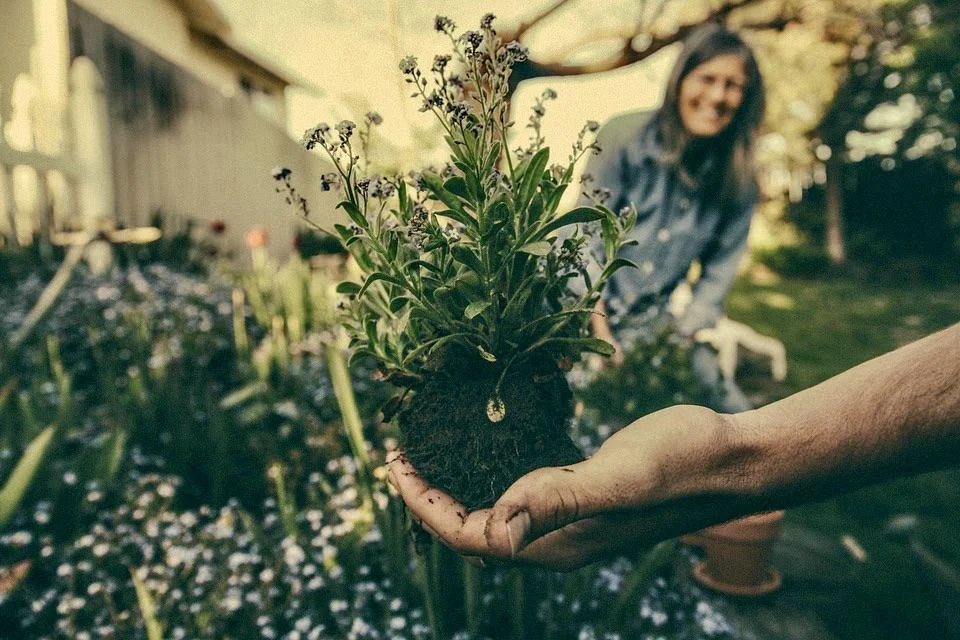 Verduurzaam jouw tuin en doe mee aan het NK Tegelwippen