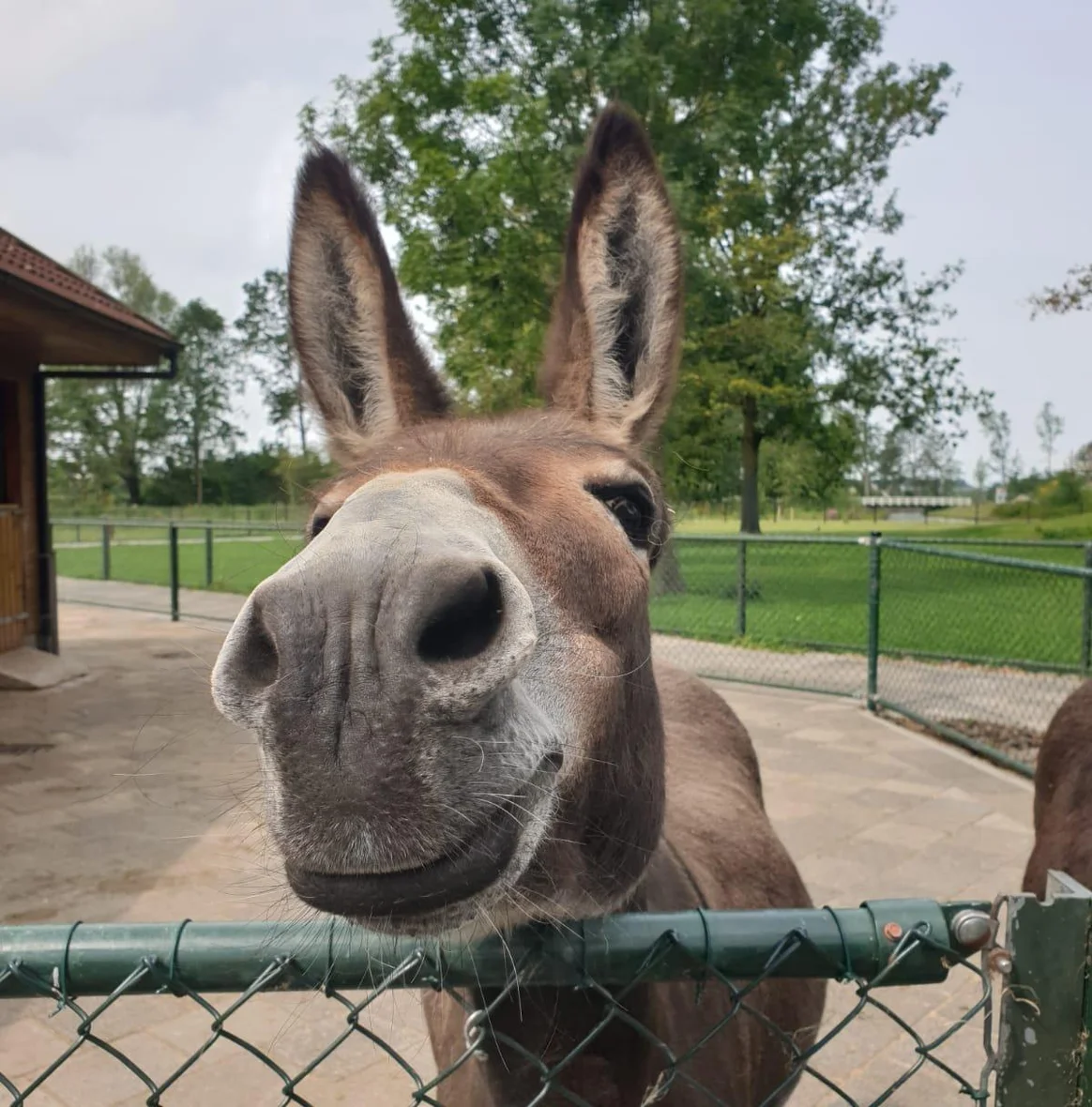 Kinderboerderij De Hoeve