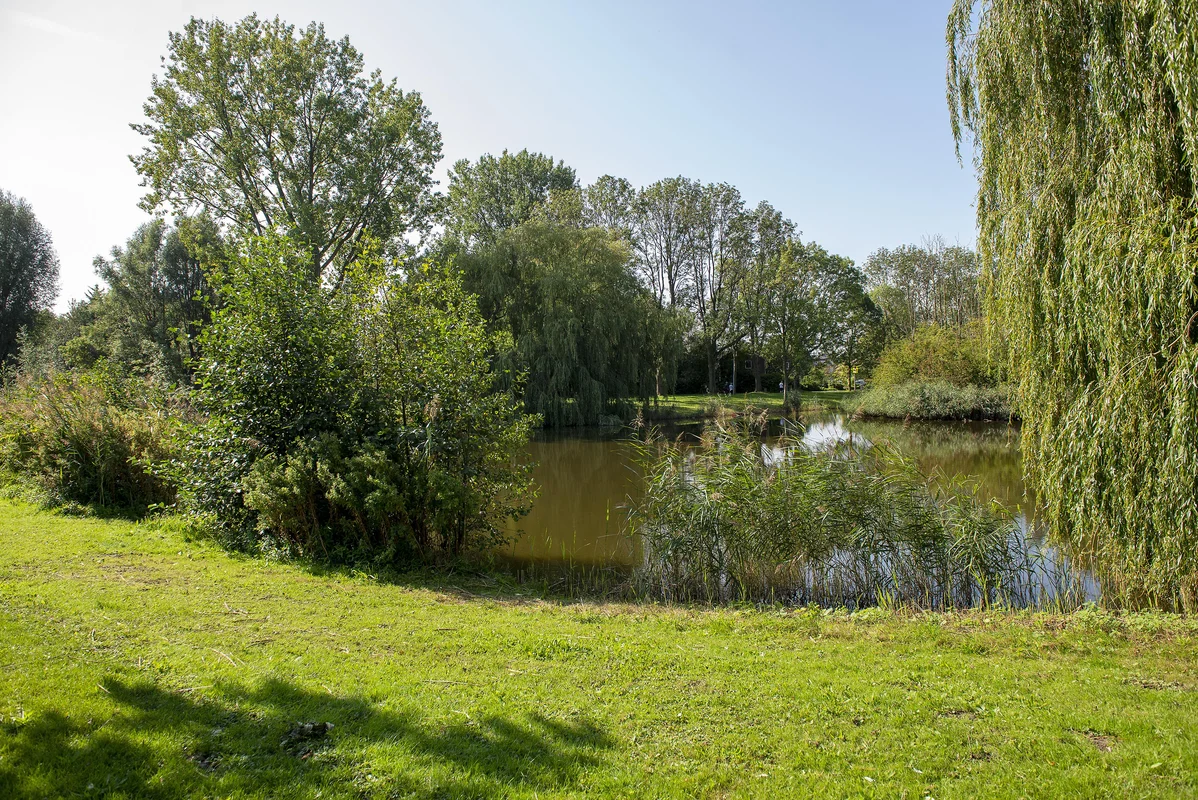 Het Vierbuizenmeertje